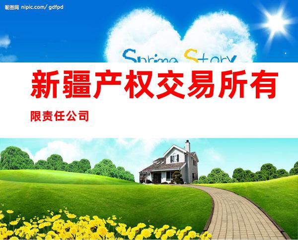 新疆产权交易所有限责任公司