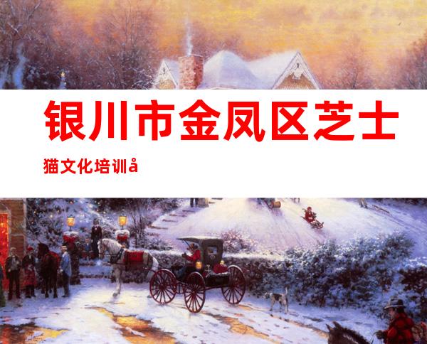 银川市金凤区芝士猫文化培训学校有限公司