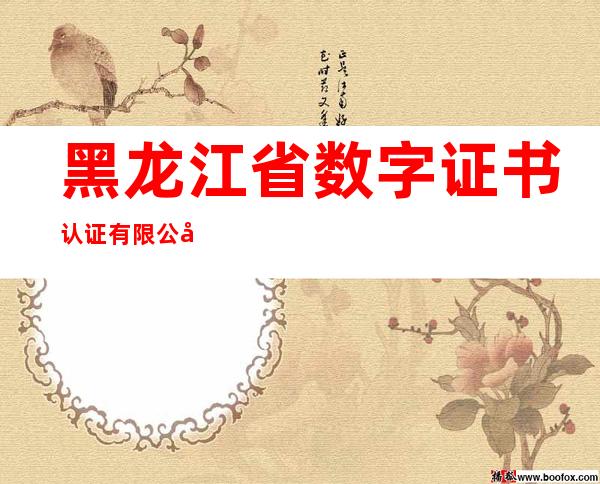 黑龙江省数字证书认证有限公司